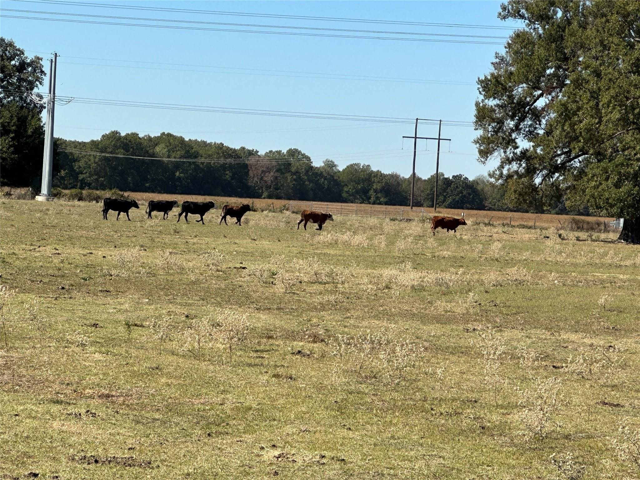 110 County Road 1055 NW